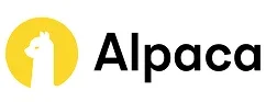 alpaca